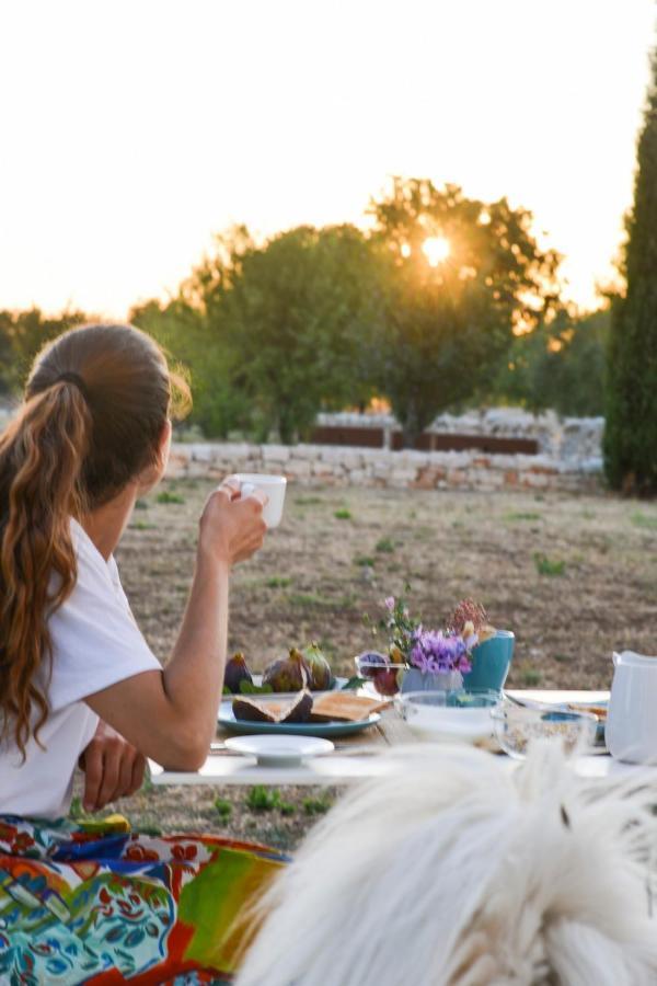 Masseria Torrechiara Eco Dimora Di Charme Bed & Breakfast Castel Del Monte (Apulia)