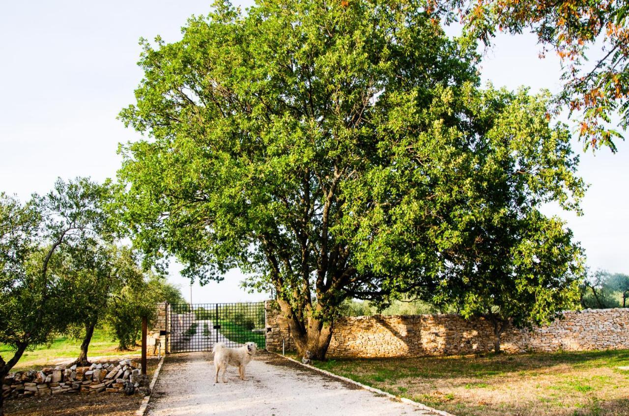 Masseria Torrechiara Eco Dimora Di Charme * Castel Del Monte (Apulia)