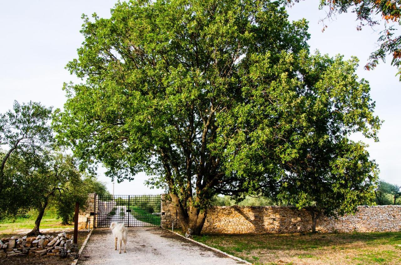 Masseria Torrechiara Eco Dimora Di Charme
